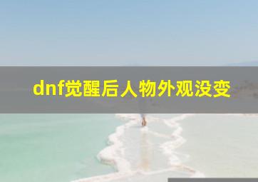 dnf觉醒后人物外观没变