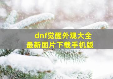 dnf觉醒外观大全最新图片下载手机版