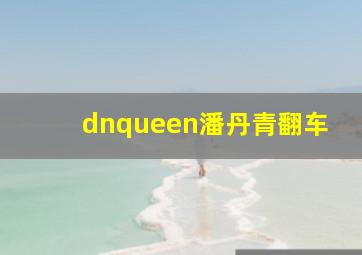 dnqueen潘丹青翻车