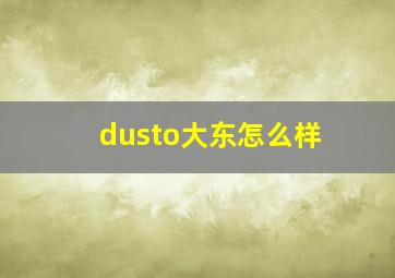 dusto大东怎么样