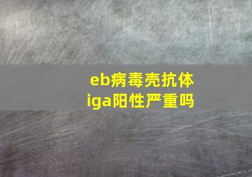 eb病毒壳抗体iga阳性严重吗