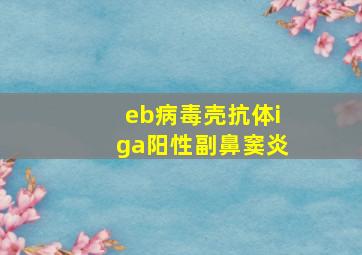 eb病毒壳抗体iga阳性副鼻窦炎