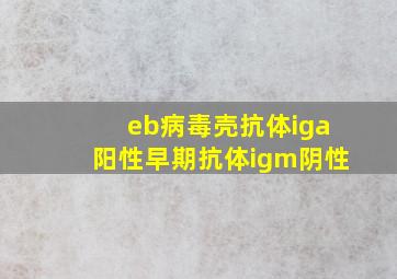 eb病毒壳抗体iga阳性早期抗体igm阴性