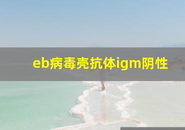 eb病毒壳抗体igm阴性