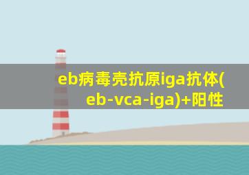 eb病毒壳抗原iga抗体(eb-vca-iga)+阳性