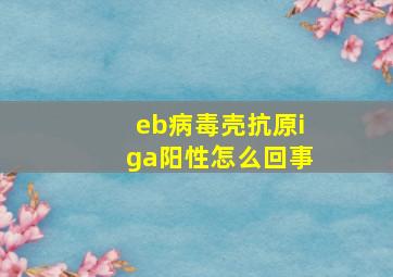 eb病毒壳抗原iga阳性怎么回事