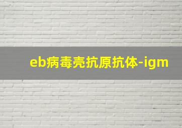 eb病毒壳抗原抗体-igm