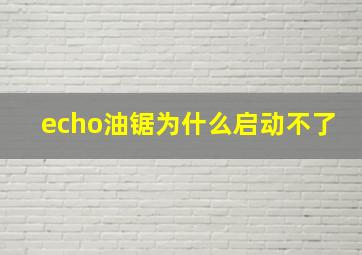 echo油锯为什么启动不了