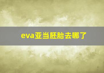 eva亚当胚胎去哪了