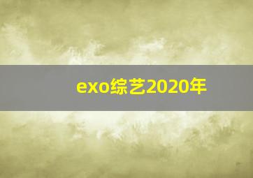 exo综艺2020年