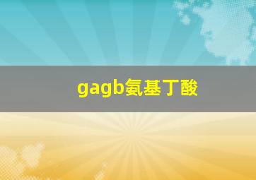 gagb氨基丁酸