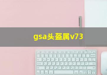 gsa头盔属v73