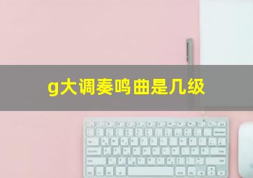 g大调奏鸣曲是几级