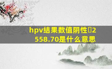 hpv结果数值阴性➕2558.70是什么意思