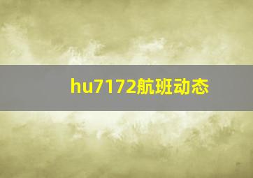 hu7172航班动态