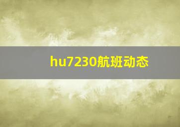 hu7230航班动态