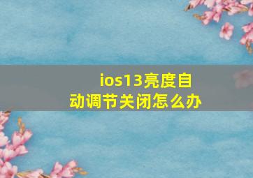 ios13亮度自动调节关闭怎么办