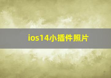 ios14小插件照片