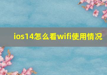 ios14怎么看wifi使用情况