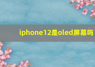 iphone12是oled屏幕吗