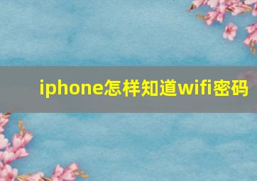 iphone怎样知道wifi密码