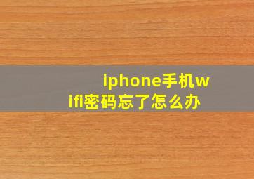 iphone手机wifi密码忘了怎么办