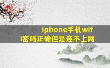 iphone手机wifi密码正确但是连不上网