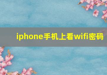 iphone手机上看wifi密码