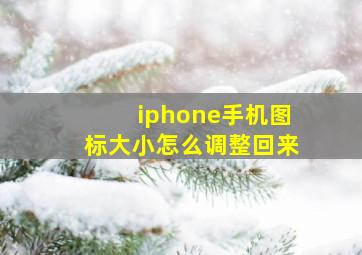 iphone手机图标大小怎么调整回来