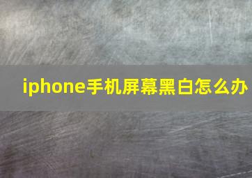 iphone手机屏幕黑白怎么办