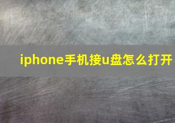 iphone手机接u盘怎么打开