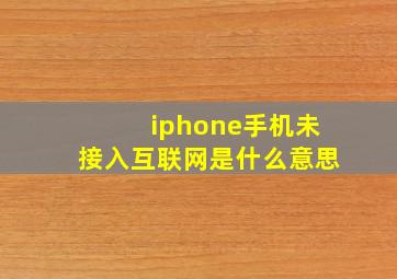 iphone手机未接入互联网是什么意思