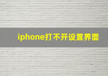 iphone打不开设置界面