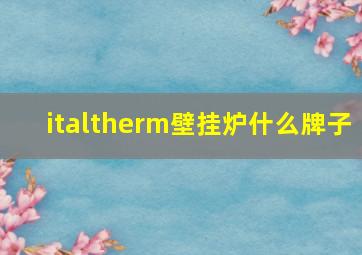 italtherm壁挂炉什么牌子