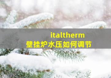 italtherm壁挂炉水压如何调节