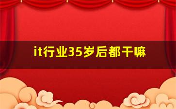 it行业35岁后都干嘛