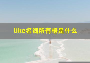 like名词所有格是什么