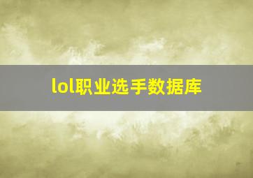 lol职业选手数据库