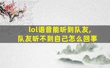 lol语音能听到队友,队友听不到自己怎么回事