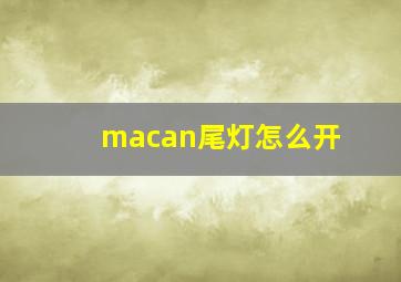 macan尾灯怎么开