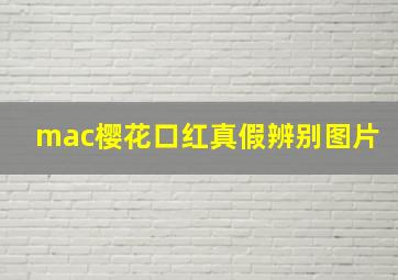 mac樱花口红真假辨别图片