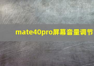 mate40pro屏幕音量调节