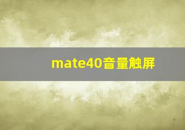 mate40音量触屏