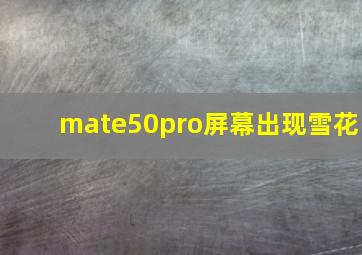 mate50pro屏幕出现雪花