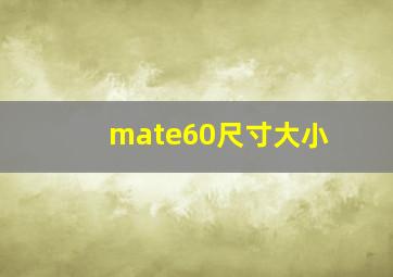 mate60尺寸大小