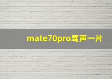 mate70pro骂声一片