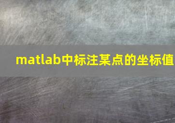 matlab中标注某点的坐标值