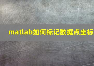 matlab如何标记数据点坐标