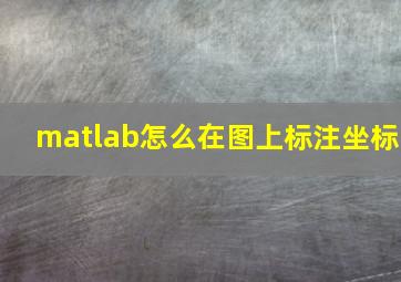 matlab怎么在图上标注坐标