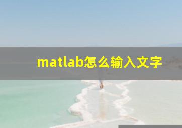 matlab怎么输入文字